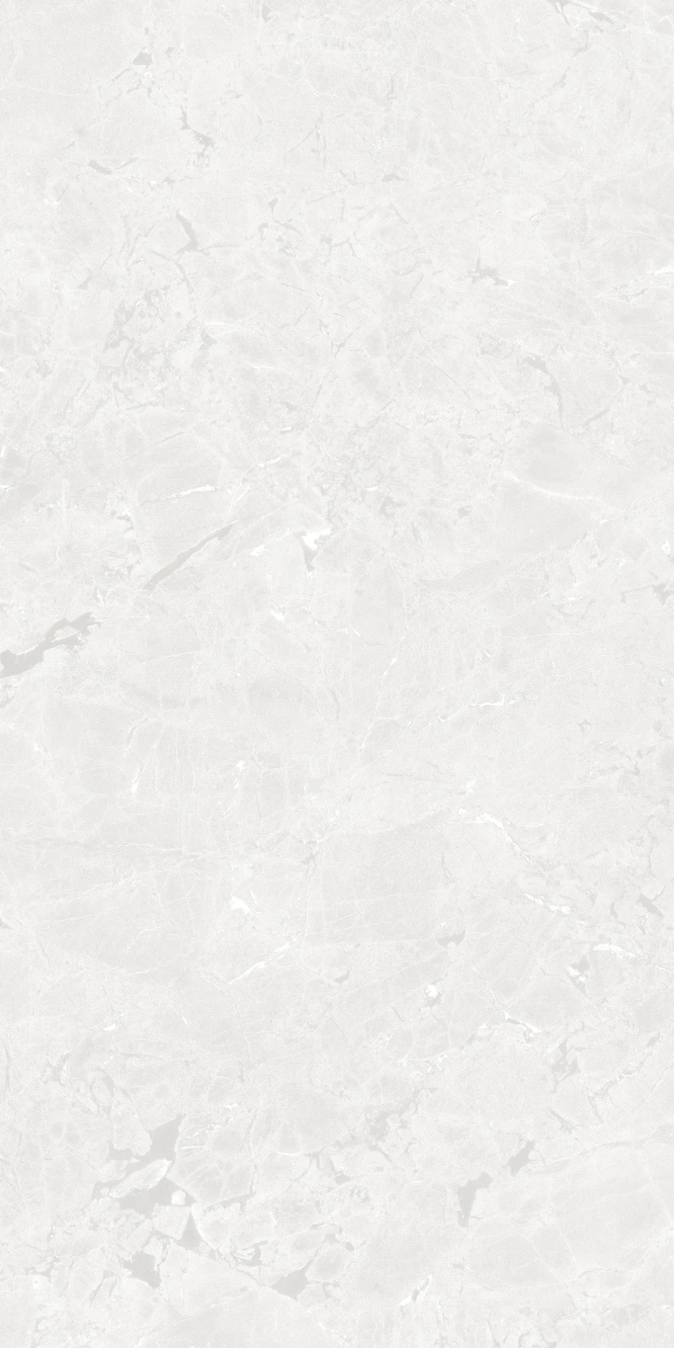 PŁYTKA GRESOWA GEKKO WHITE 60X120